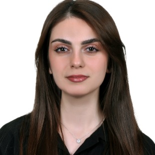 Defining Characteristics of National BIM Adoption