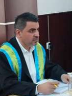 Hendaf N. Habeeb